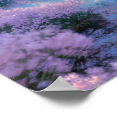 Peaceful Cherry Blossom Lake Poster (Hoek)