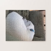 Peaceful Chubby Puppy Dog Sleeping op Couch Legpuzzel (Horizontaal)