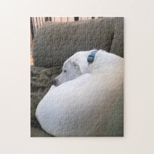 Peaceful Chubby Puppy Dog Sleeping op Couch Legpuzzel (Verticaal)