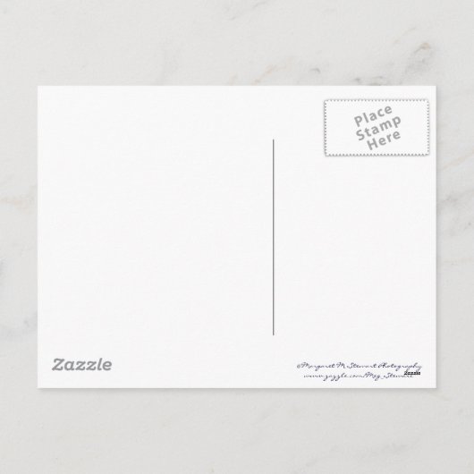 Peaceful Dove Feestdagenkaart (Achterkant)