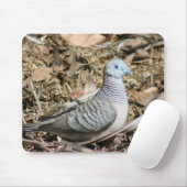 Peaceful Dove - Geopelia placida Muismat (Met muis)