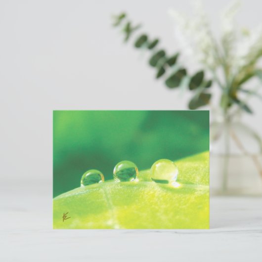 Peaceful, Elegant, Dew Drops on Leaf Nature Briefkaart (Staand voorkant)
