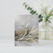 Peaceful, Elegant, Shimmering Dandelion Poof Briefkaart (Staand voorkant)