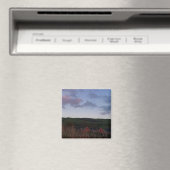 Peaceful Evening in Newtown Magneet (Insitu (Vaatwasser))