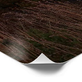 Peaceful Evening in Newtown Perfect Poster (Hoek)