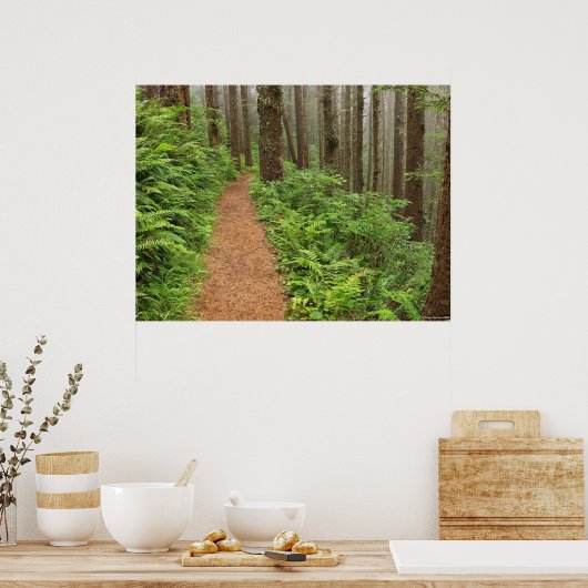 Peaceful Forest Trail Poster (Keuken)