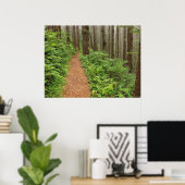 Peaceful Forest Trail Poster (Thuiskantoor)