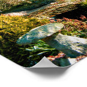 Peaceful garden in Guernsey Poster (Hoek)