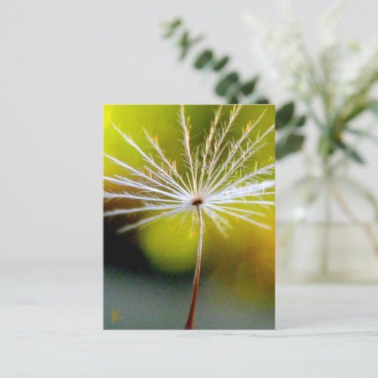 Peaceful, Golden, Dandelion Seed, Nature Briefkaart (Staand voorkant)