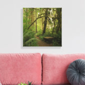 Peaceful Green Forest Trail in Washington Canvas Afdruk (Insitu (Woonkamer))