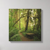 Peaceful Green Forest Trail in Washington Canvas Afdruk (Voorkant)