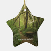 Peaceful Green Forest Trail in Washington Keramisch Ornament (Links)