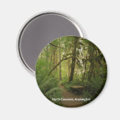 Peaceful Green Forest Trail in Washington Magneet (Voorkant / Achterkant)