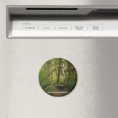 Peaceful Green Forest Trail in Washington Magneet (Insitu (Vaatwasser))