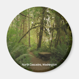 Peaceful Green Forest Trail in Washington Magneet
