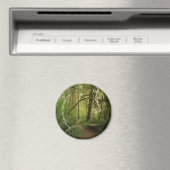 Peaceful Green Forest Trail in Washington Magneet (Insitu (Vaatwasser))