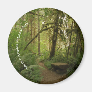 Peaceful Green Forest Trail in Washington Magneet