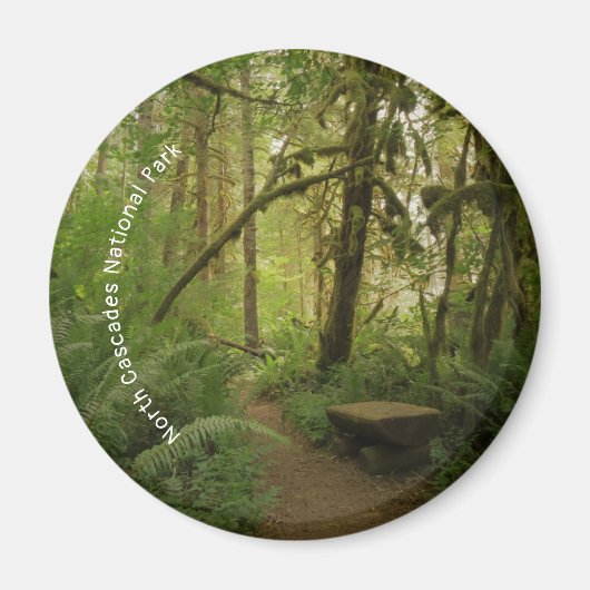 Peaceful Green Forest Trail in Washington Magneet (Voorkant)
