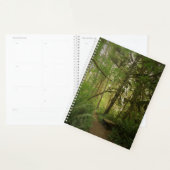Peaceful Green Forest Trail in Washington Planner (Display)