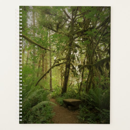 Peaceful Green Forest Trail in Washington Planner (Voorkant)