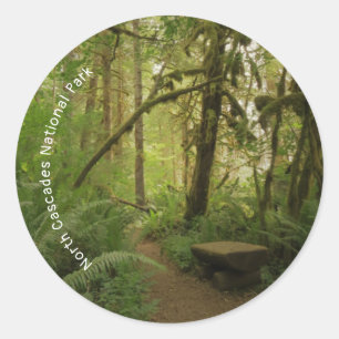 Peaceful Green Forest Trail in Washington Ronde Sticker