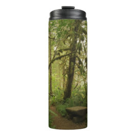 Peaceful Green Forest Trail in Washington Thermosbeker