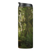 Peaceful Green Forest Trail in Washington Thermosbeker (Geroteerd rechts)