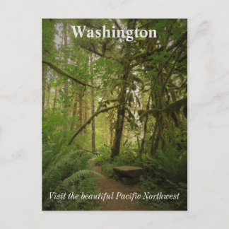 Peaceful Green Forest Trail Washington Briefkaart