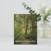 Peaceful Green Forest Trail Washington Briefkaart (Staand voorkant)
