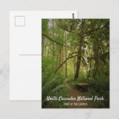 Peaceful Green Forest Trail Washington Briefkaart (Voorkant / Achterkant)