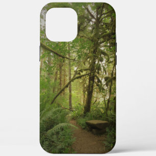 Peaceful Green Forest Trail Washington Case-Mate iPhone Case