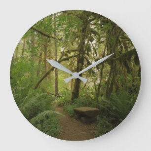 Peaceful Green Forest Trail Washington Grote Klok