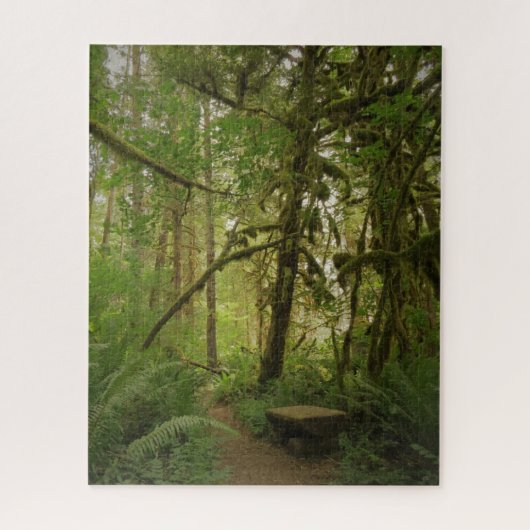Peaceful Green Forest Trail Washington Legpuzzel (Verticaal)