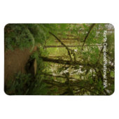 Peaceful Green Forest Trail Washington Magneet (Horizontaal)