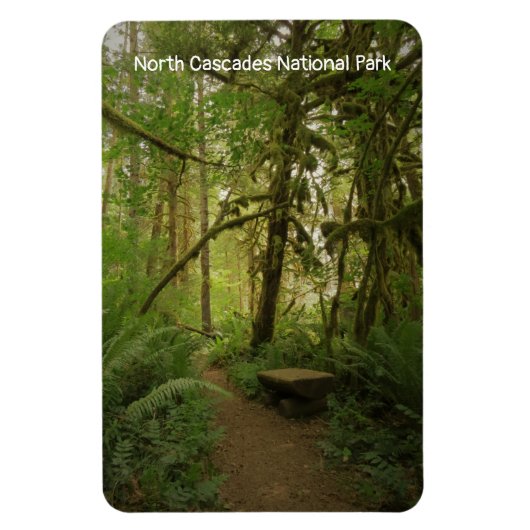 Peaceful Green Forest Trail Washington Magneet (Verticaal)