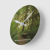 Peaceful Green Forest Trail Washington Ronde Klok (Hoek)