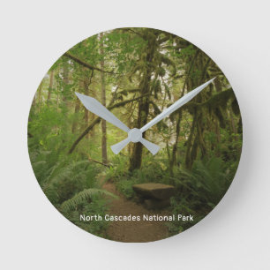 Peaceful Green Forest Trail Washington Ronde Klok