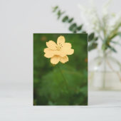 Peaceful Harmony Briefkaart (Staand voorkant)