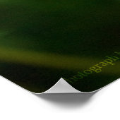 Peaceful Harmony Poster (Hoek)