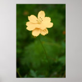 Peaceful Harmony Poster (Voorkant)