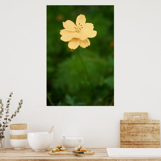 Peaceful Harmony Poster (Keuken)