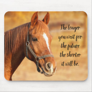 Peaceful Horse Muismat