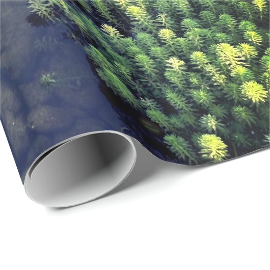 Peaceful Koi Fish Pond Cadeaupapier (Rol Hoek)