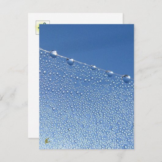 Peaceful, Meditative, Blue Dew Drop Briefkaart (Voorkant / Achterkant)