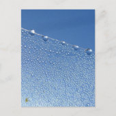 Peaceful, Meditative, Blue Dew Drop Briefkaart (Voorkant)