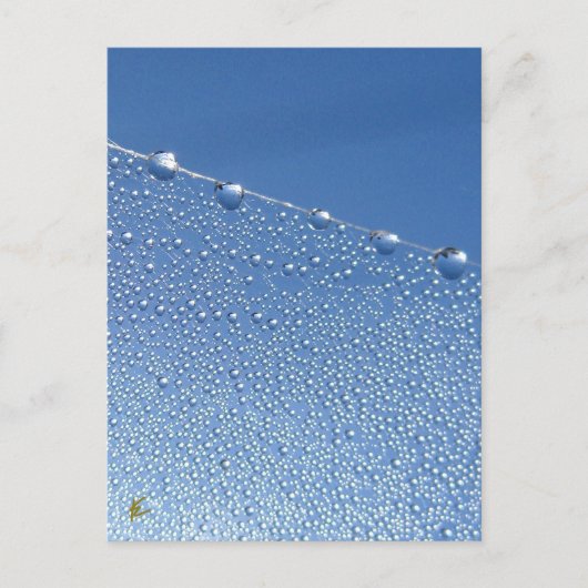 Peaceful, Meditative, Blue Dew Drop Briefkaart (Voorkant)