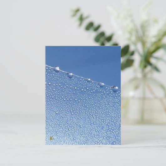 Peaceful, Meditative, Blue Dew Drop Briefkaart (Staand voorkant)