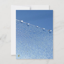 Peaceful, Meditative, Blue Dew Drop Briefkaart