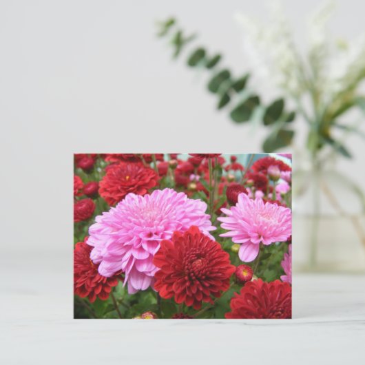 Peaceful Morning Glory Briefkaart (Staand voorkant)