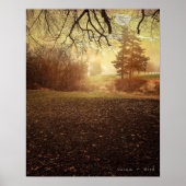 Peaceful Morning Poster Print (Voorkant)